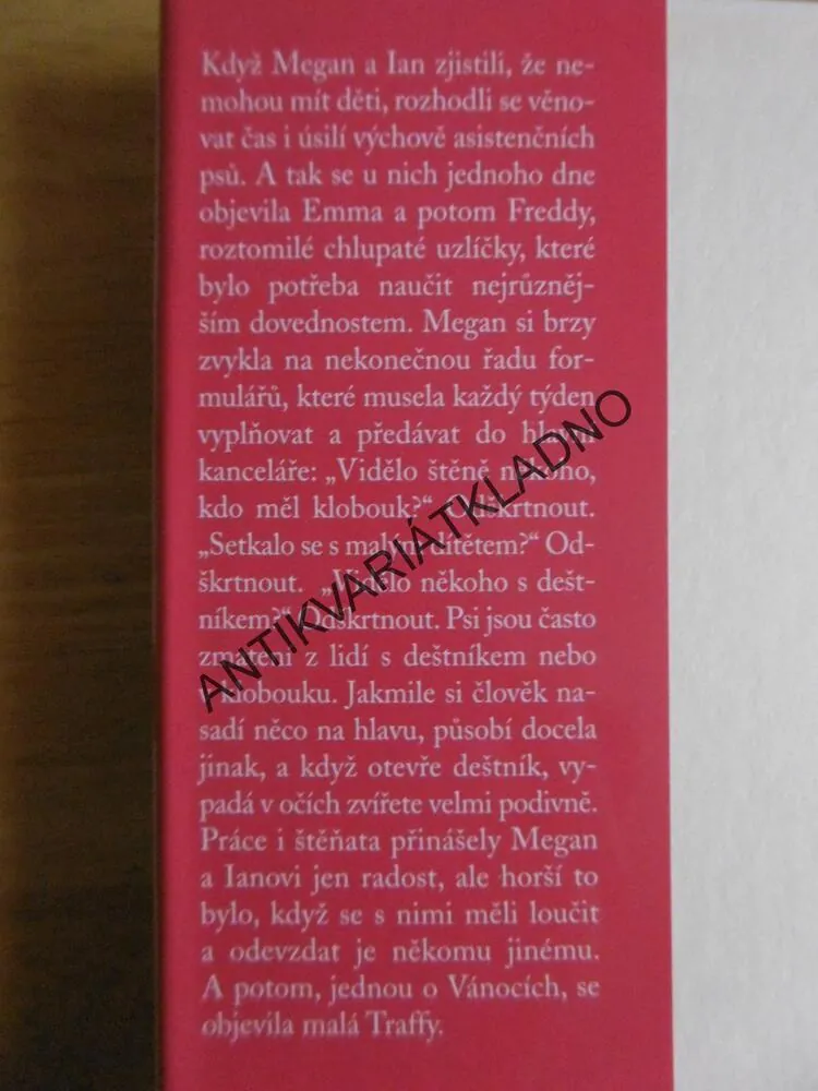 ŠTĚNĚ K VÁNOCŮM, MEGAN RIXOVÁ, **an