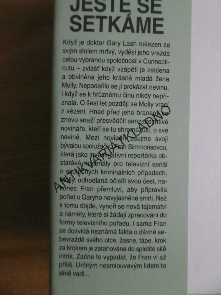 JEŠTĚ SE SETKÁME, MARY HIGGINS CLARKOVÁ, **an