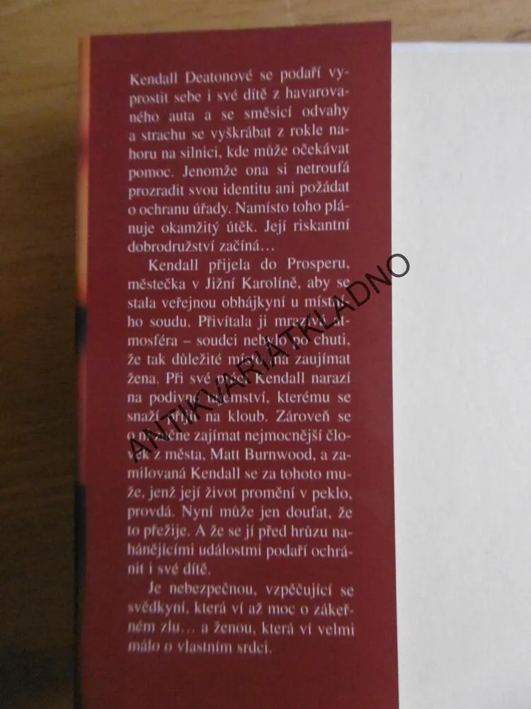 SVĚDKYNĚ, SANDRA BROWN, **an