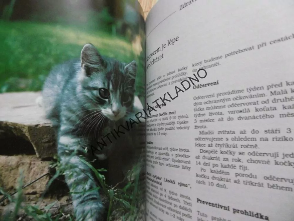 MÁME DOMA KOŤÁTKO, THEILIG, VÝVOJ, VÝCHOVA A PÉČE O KOŤATA, **an