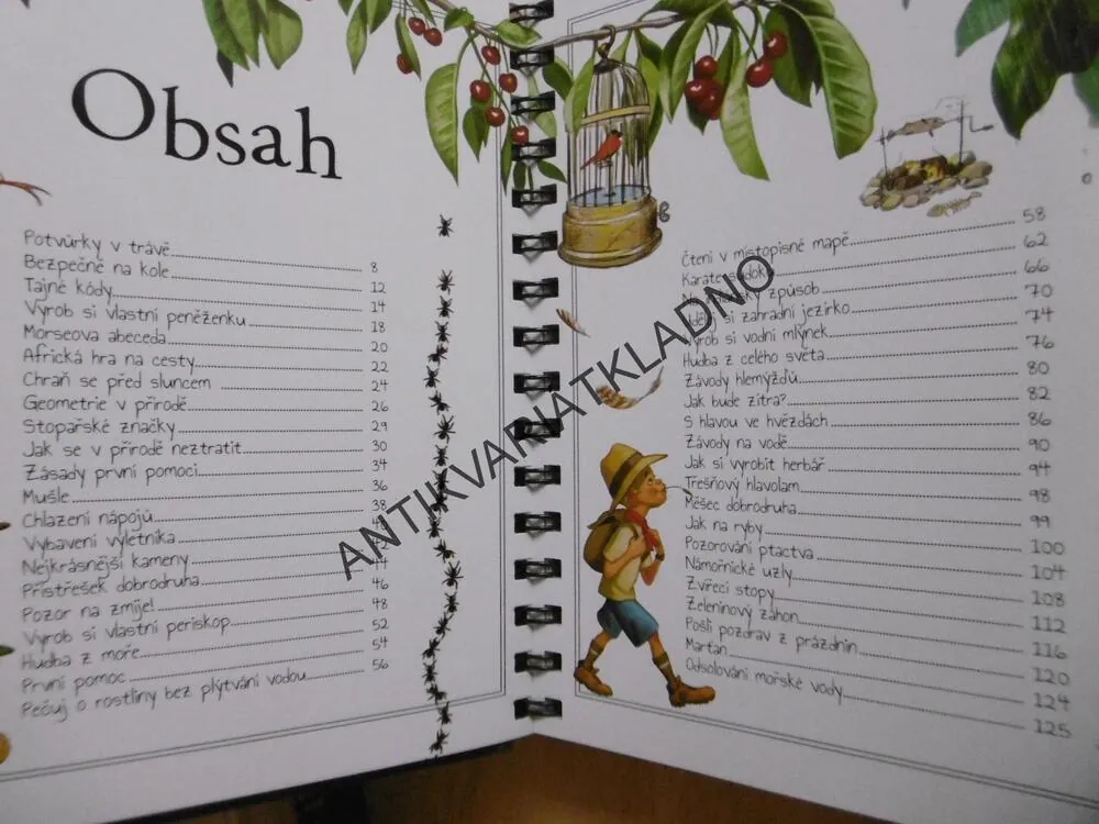 PŘÍRUČKA PRO KLUKY DOBRODRUHY, KNIHA DO KAŽDÉHO TERÉNU, **an