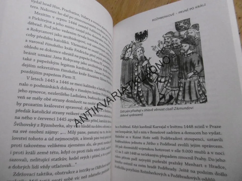 ROŽMBERKOVÉ - PRVNÍ PO KRÁLI, JAN BAUER, **an