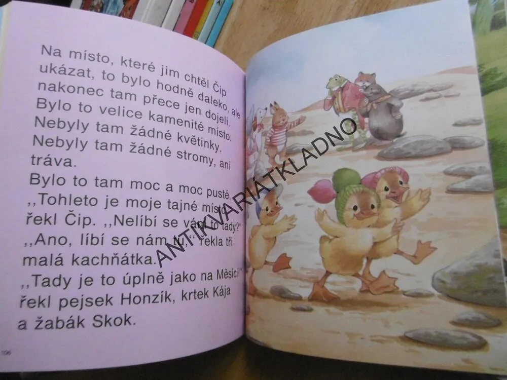 NEPOSEDNÁ KACHŇÁTKA A JEJICH PŘÁTELÉ, PANELA STOREY, JUNE WOODMAN, **an