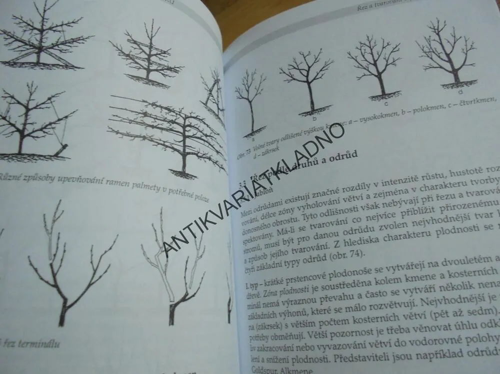 ŘEZ OVOCNÝCH STROMŮ A KEŘŮ, ZAHRADA, STROMY,KADLEC, **an