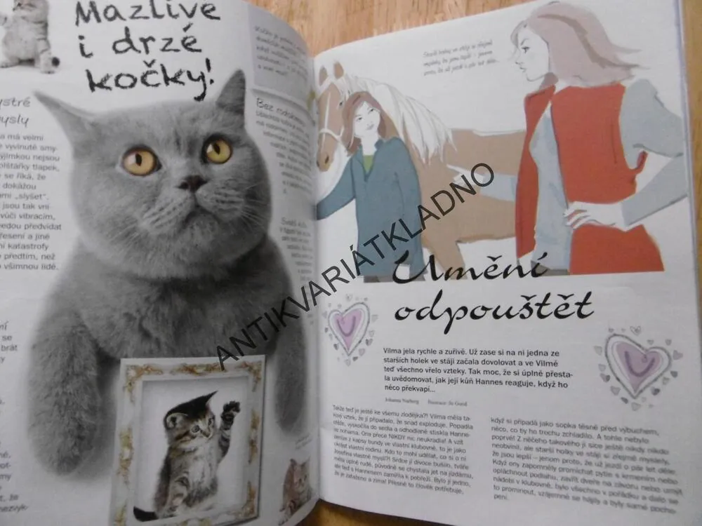 PENNY GIRL, KOMIKS, KDYŽ MILUJEME KONĚ