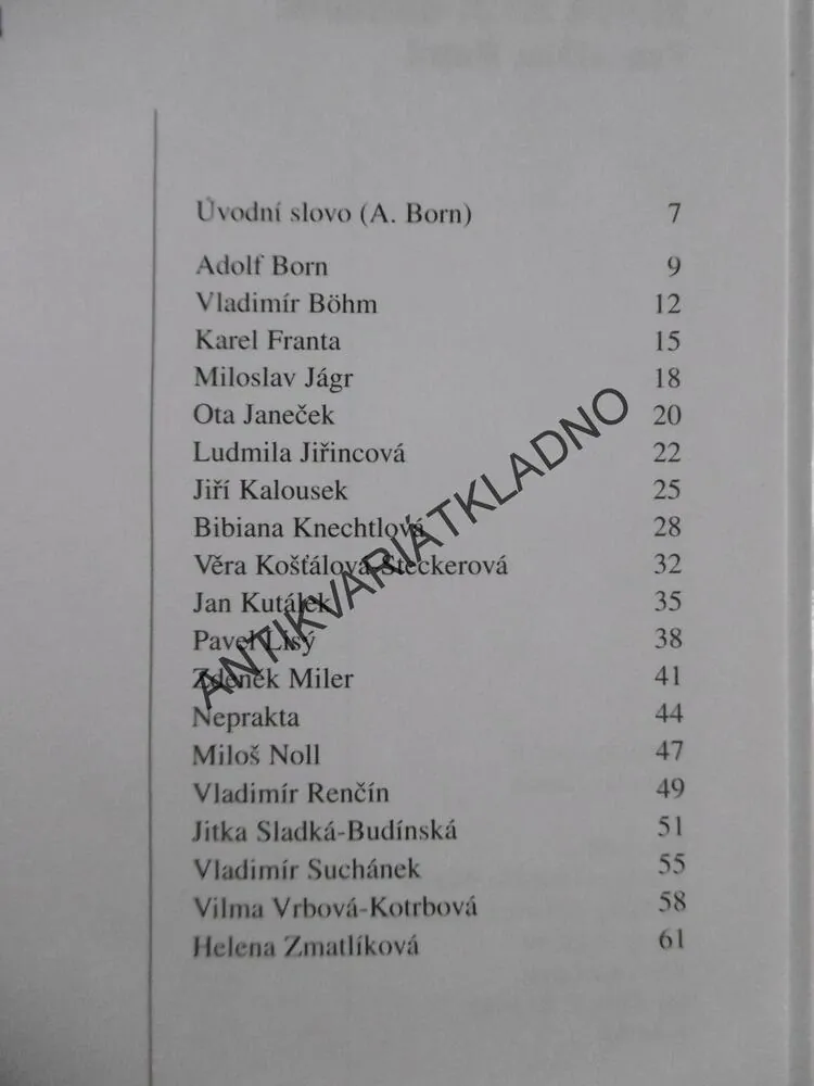 SLOVA MEZI BARVAMI, FRANTIŠEK NEPIL, **an