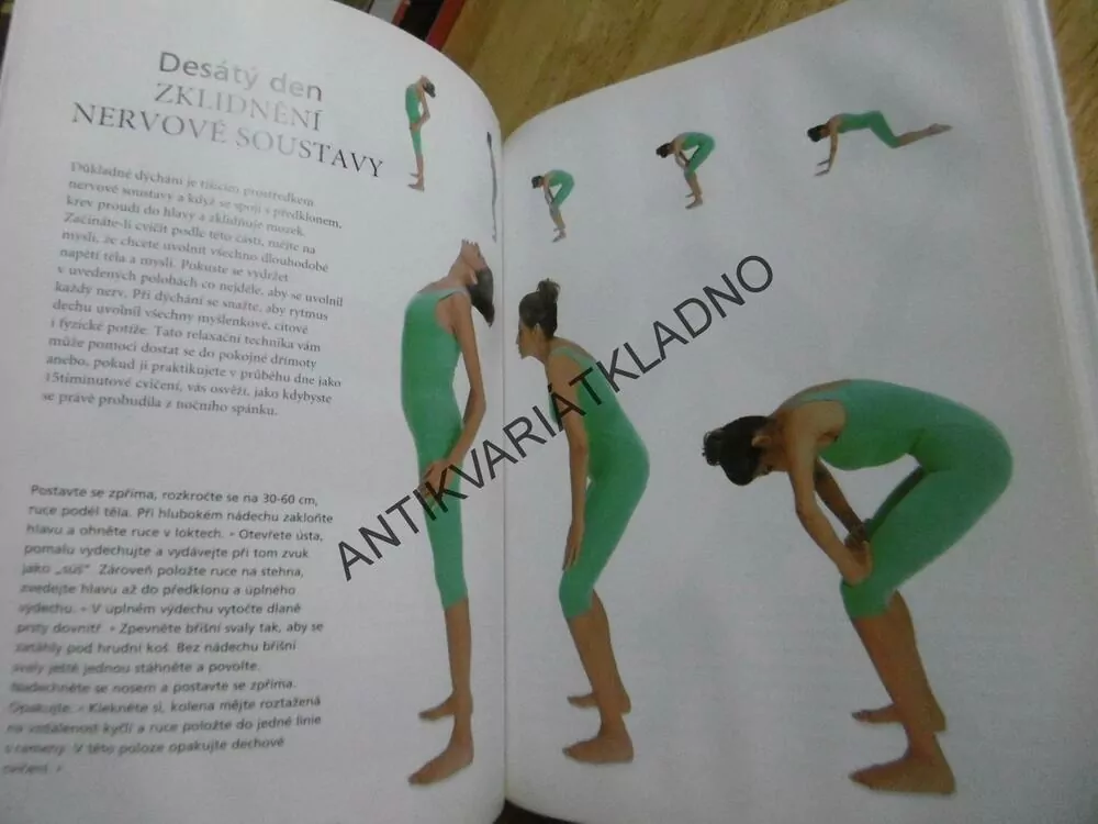 JÓGA PROTI STÁRNUTÍ, VIMLA LALVANI, **an