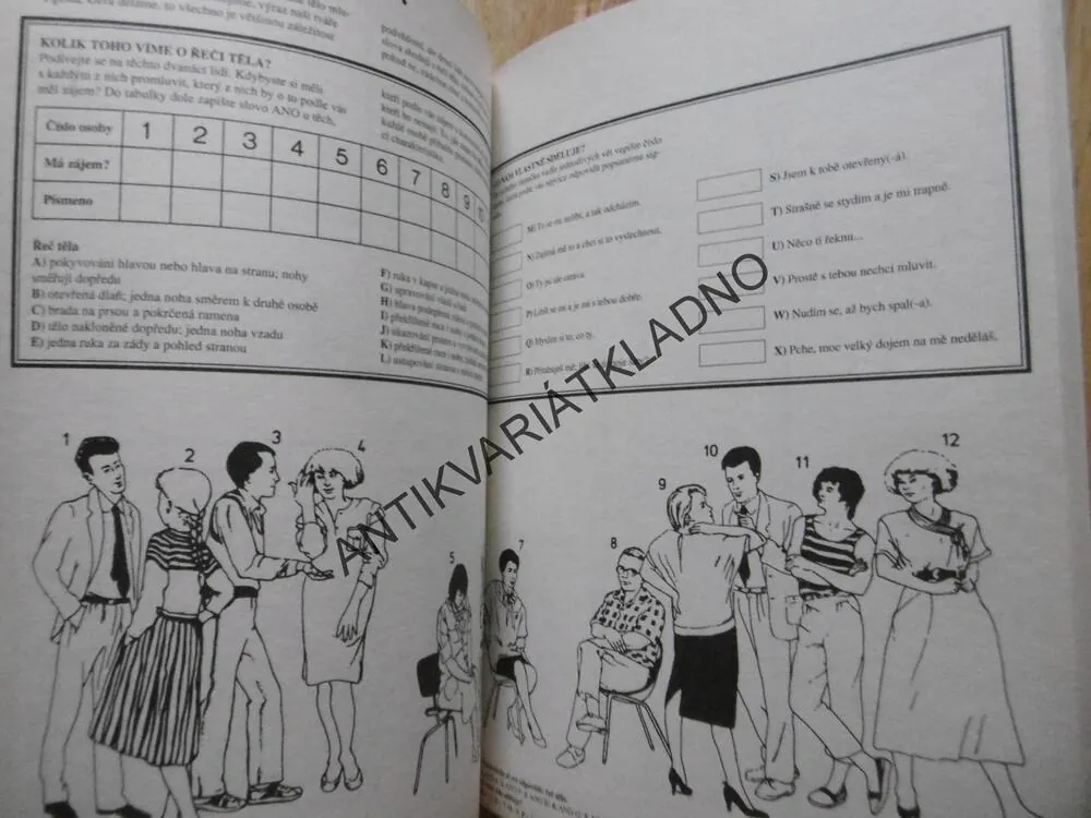 POZNEJ SÁM SEBE, KNIHA OSOBNÍCH TESTŮ, MAYA PILKINGTONOVÁ