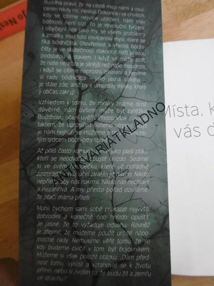 MÍSTA, KTERÁ VÁS DĚSÍ, PEMA CHÖDRÖN, **an