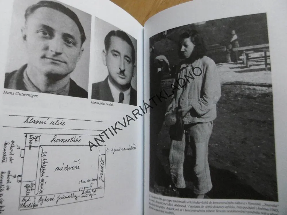 ŠLA S NÍM AŽ K ŠIBENICI, JIŘÍ ČERVENKA, **an