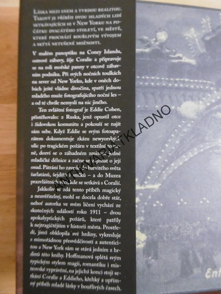 MUZEUM PRAZVLÁŠTNÍCH VĚCÍ, ALICE HOFFMANOVÁ, **an