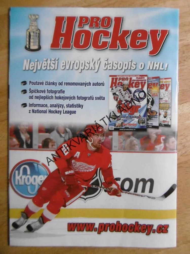 VELKOLEPÝ SPIDER-MAN, 2/2008, KOMIKS