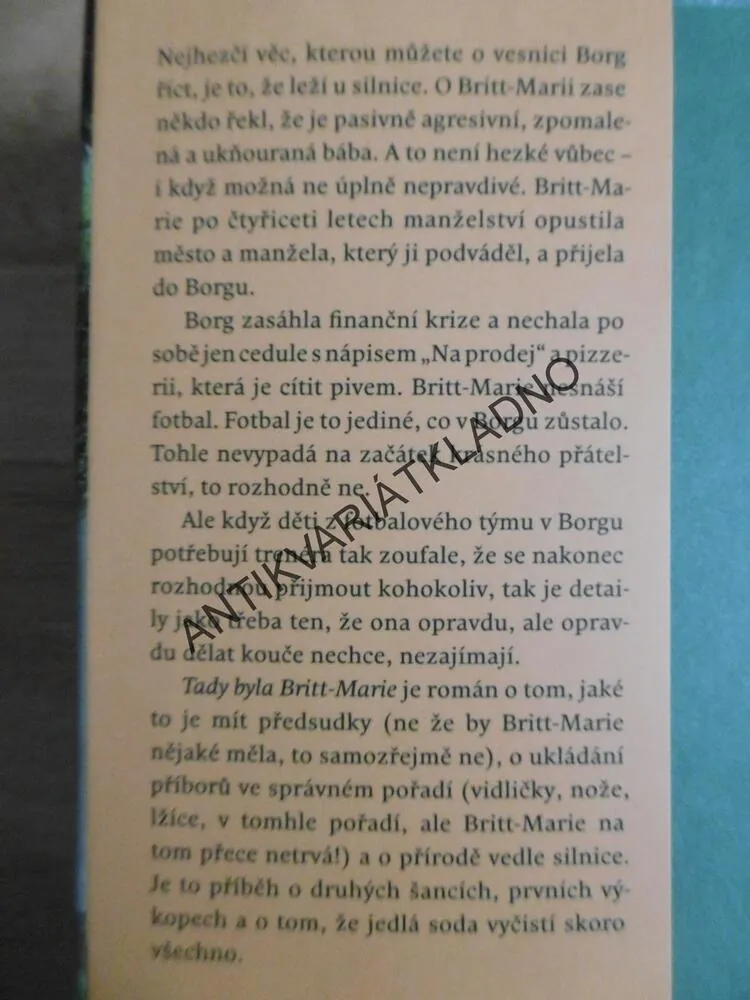 TADY BYLA BRITT-MARIE, FREDRIK BACKMAN,