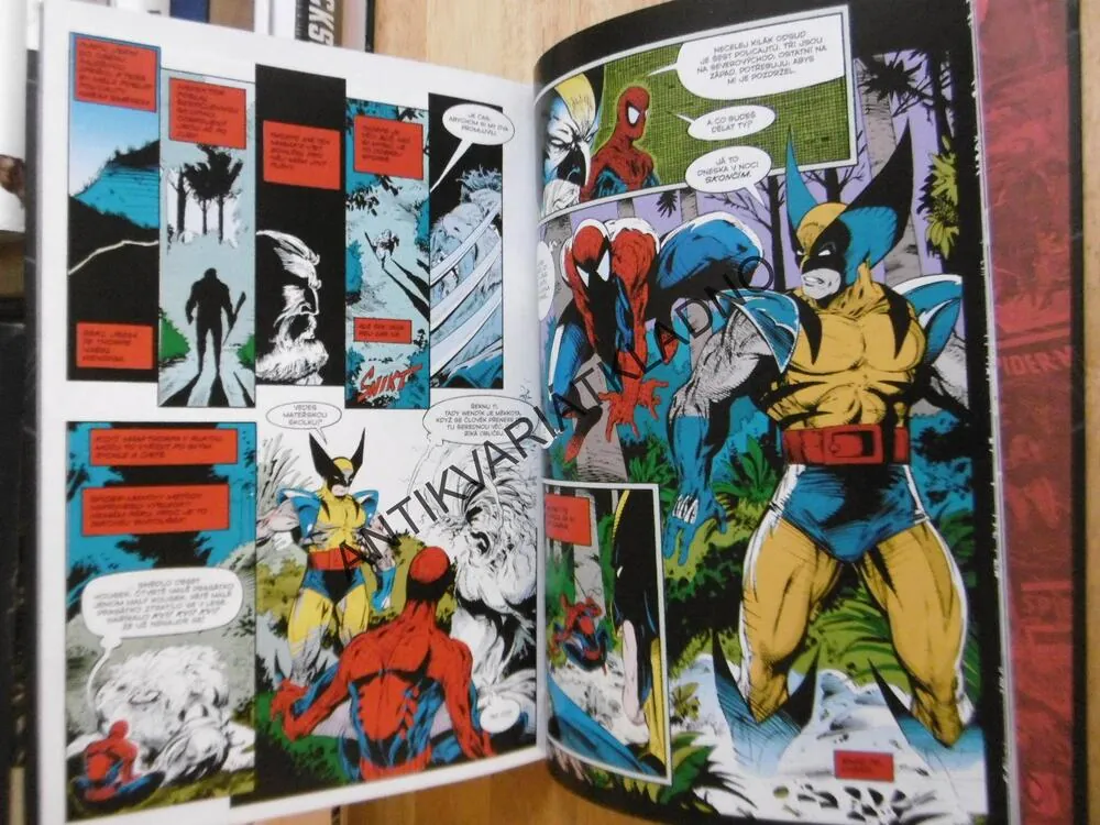 SPIDER-MAN, ÚHEL POHLEDU, SPIDERMAN, KOMIKS VÝBĚR MARVEL, **an