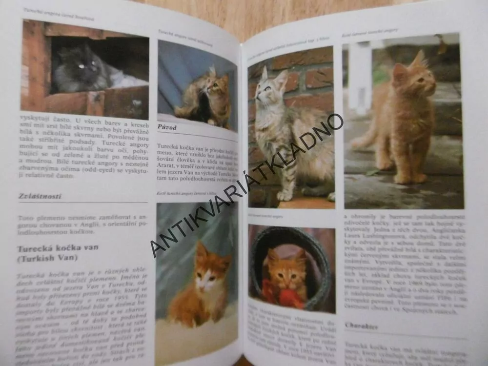 ENCYKLOPEDIE KOČEK, VERHOFF, VERHALLENOVÁ, KOČKA, KOČKY