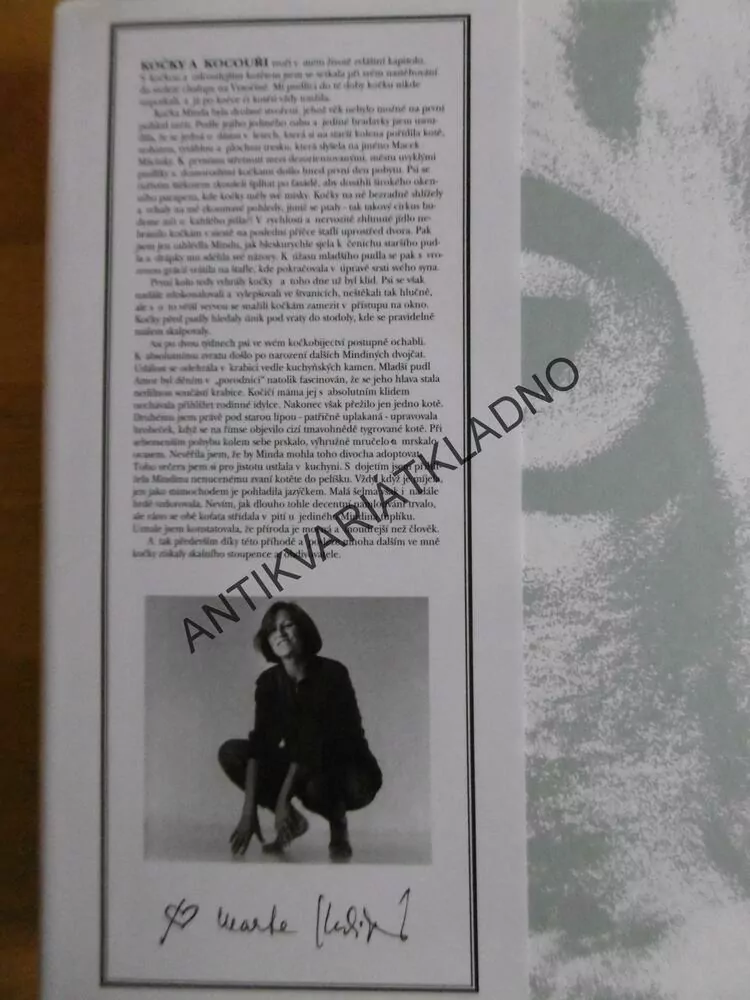 JÁ KOČKA, KOČKY, PRŮVODCE O PRAVIDLECH PÉČE O VAŠI KOČKU, ANDREW EDNEY