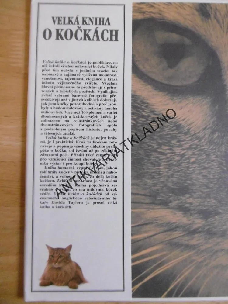 VELKÁ KNIHA O KOČKÁCH, DAVID TAYLOR