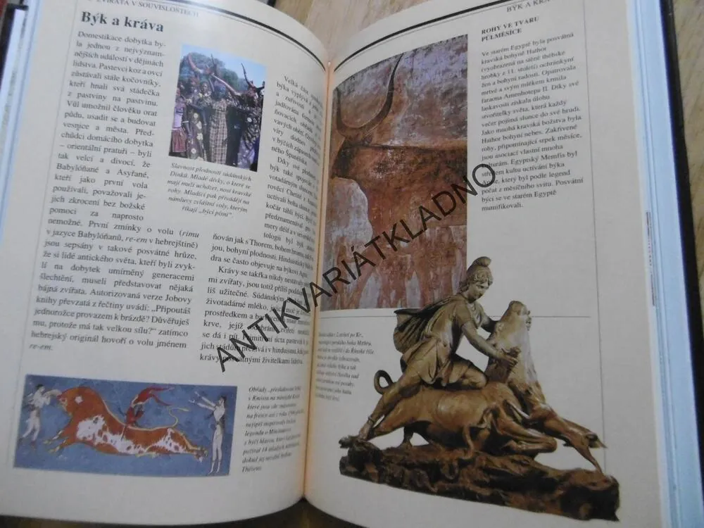 MYTICKÁ SÍLA ZVÍŘAT, NICOLAS J. SAUNDERS, MAGIE, TRADICE, SOUČASNOST, **an