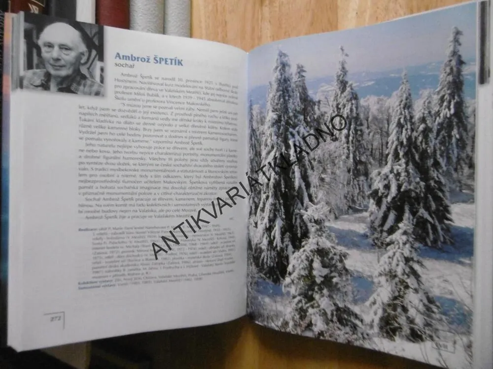 KULTURNÍ TOULKY VALAŠSKEM, MIKULCOVÁ, GRACLÍK, herci, film, kultura