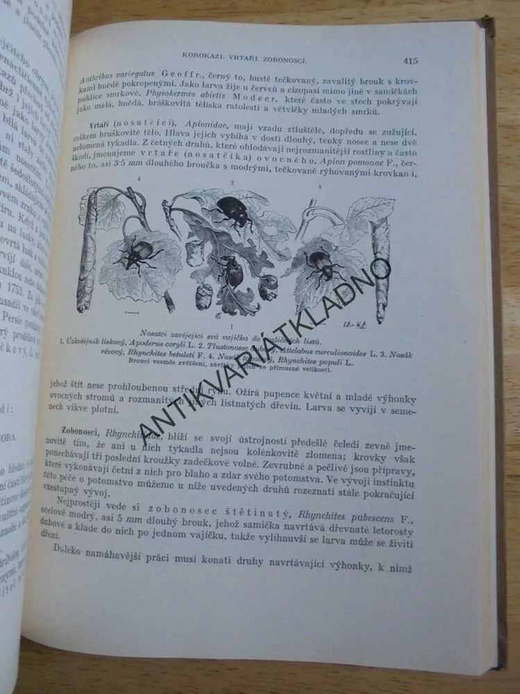 BREHM, BREHMŮV ŽIVOT ZVÍŘAT 1.,BEZOBRATLÍ, HMYZ,