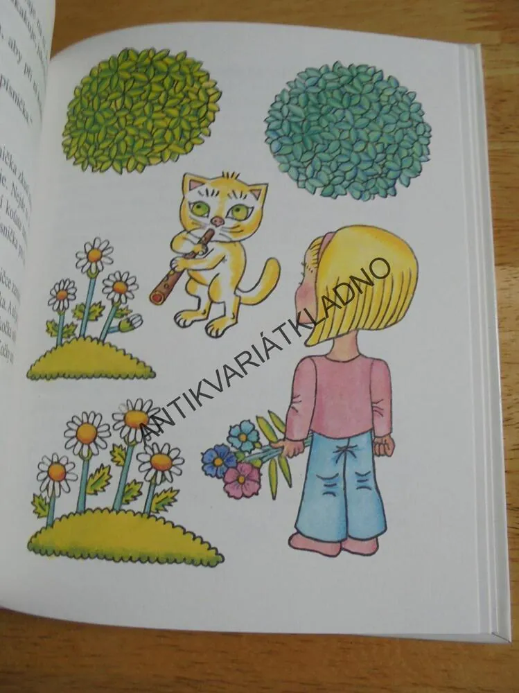 PRVNÍ ČTENÍ, ANIČKA FLÉTNIČKA, ZMATLÍKOVÁ