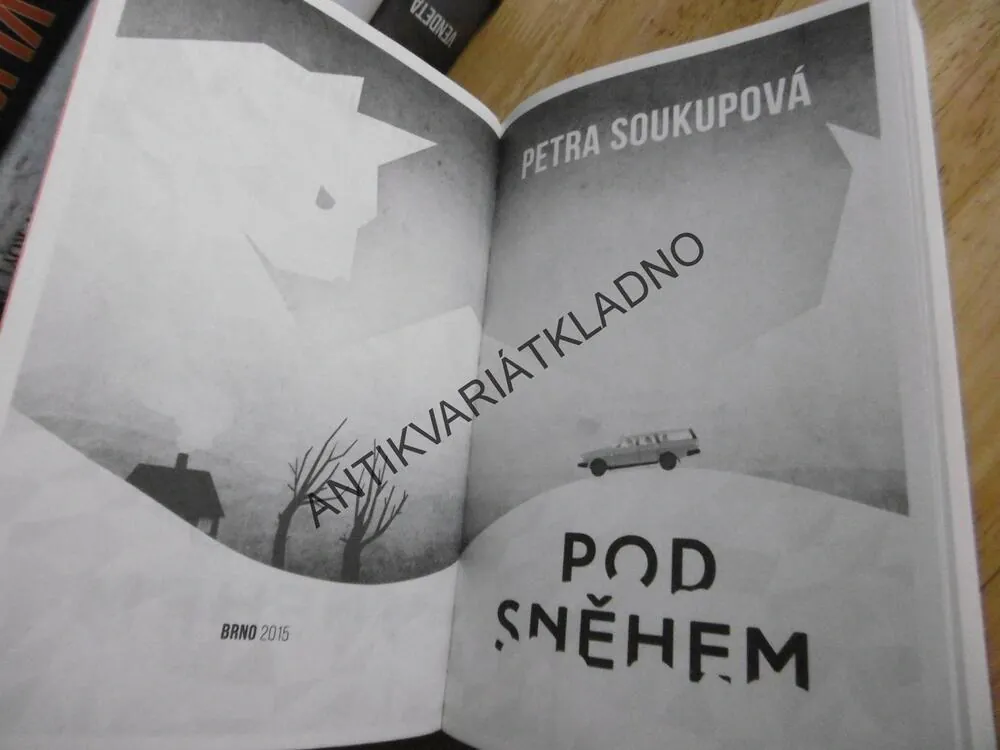POD SNĚHEM, PETRA SOUKUPOVÁ, **an