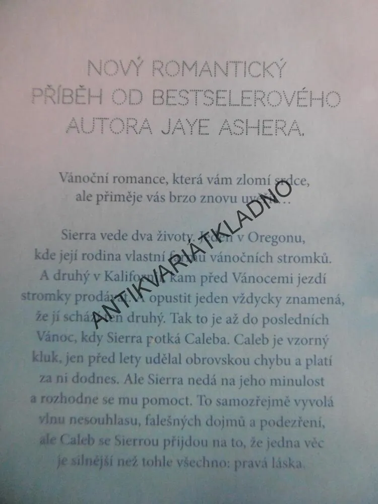 VÁNOČNÍ ZÁZRAK, JAY ASHER, **an