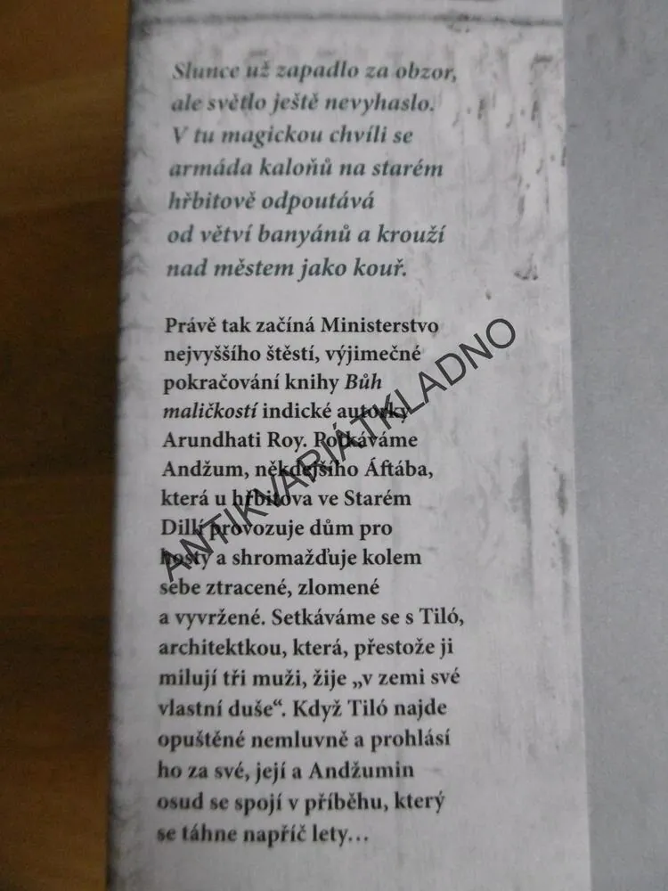 MINISTERSTVO NEJVYŠŠÍHO ŠTĚSTÍ, ARUNDHATI ROY, **an