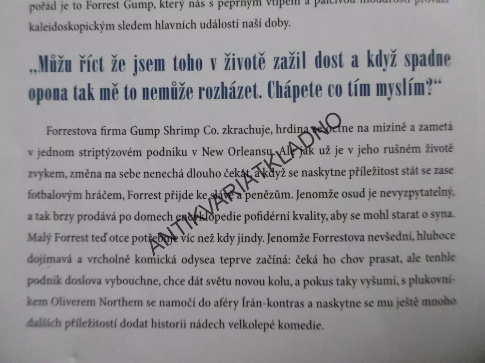 FORREST GUMP AND COMP., WINSTON GROOM, **an