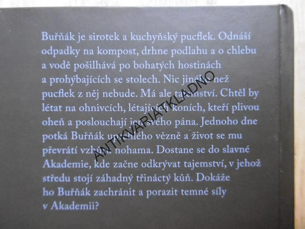 ZÁVOD O STŘÍBRNÝ MEČ, REBECCA LISLEOVÁ, **an