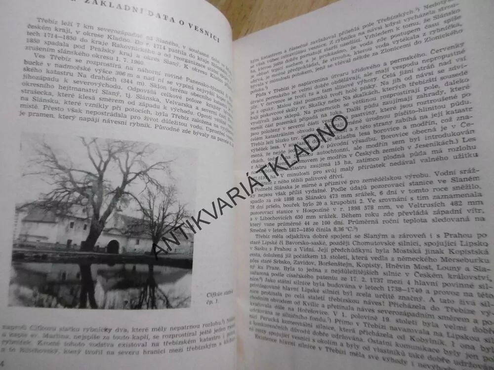 HISTORICKÝ VÝVOJ TŘEBÍZE, JANA KROTILOVÁ,