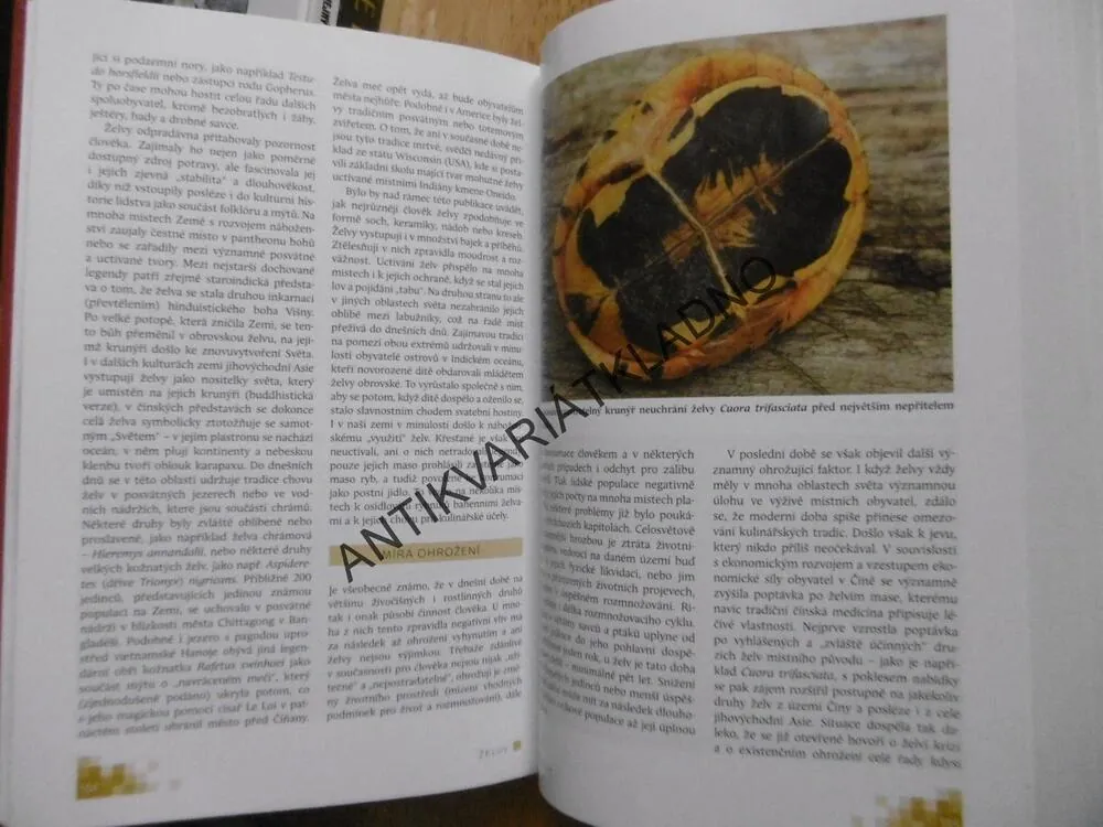 ŽELVY V PŘÍRODĚ A V PÉČI ČLOVĚKA, JIŘÍ ZYCH,