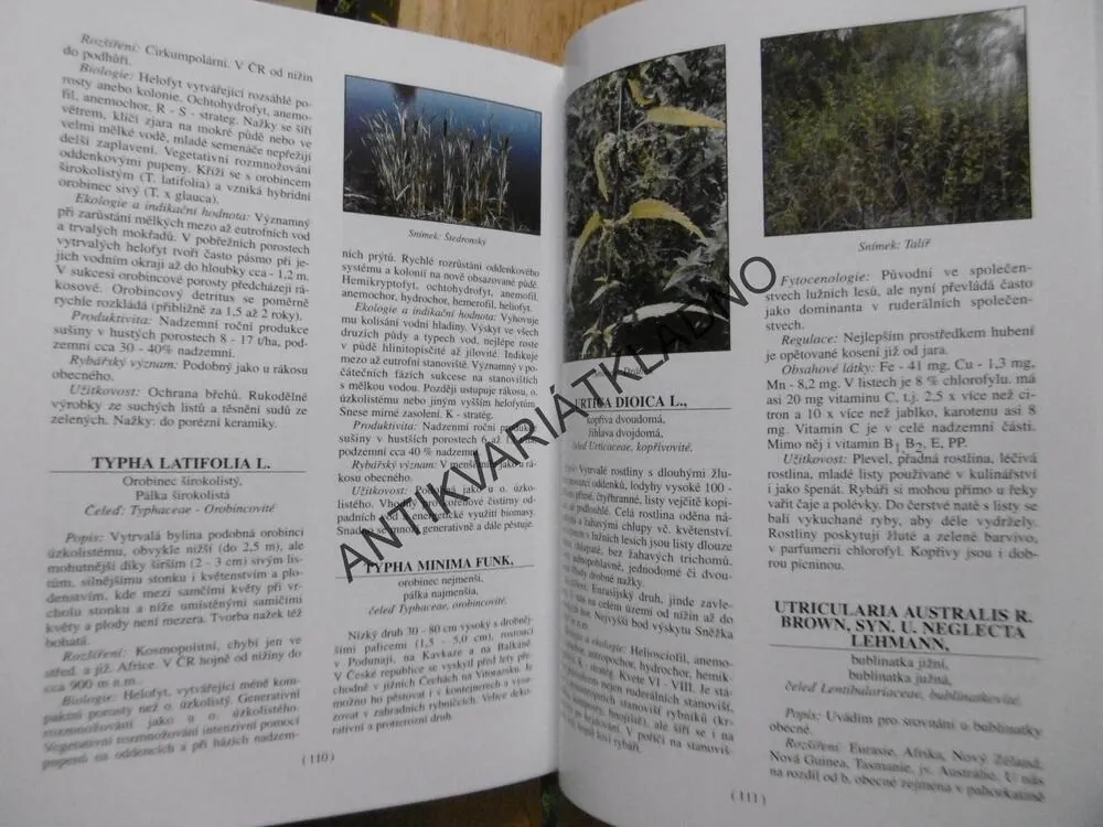 ROSTLINY VOD A POBŘEŽÍ, SLAVOMIL HEJNÝ