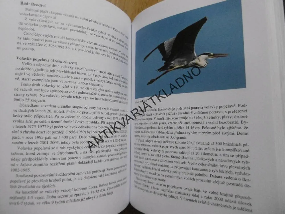 NAŠE RYBÁŘSTVÍ, KOLEKTIV AUTORŮ,