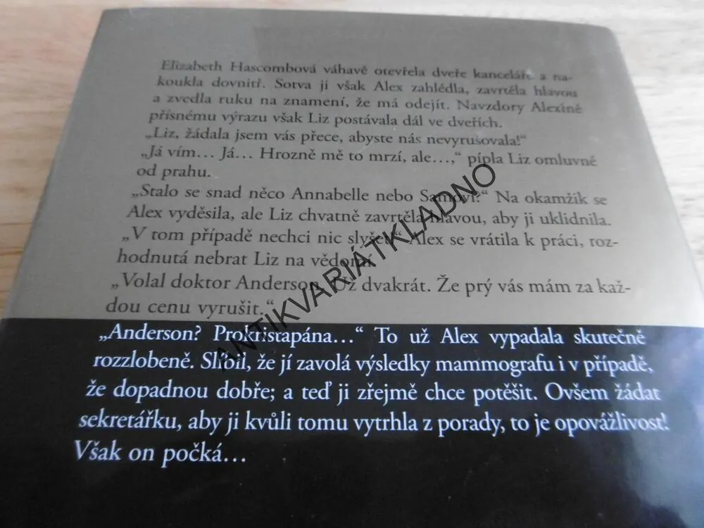 ZÁSAH OSUDU, DANIELLE STEEL, **an