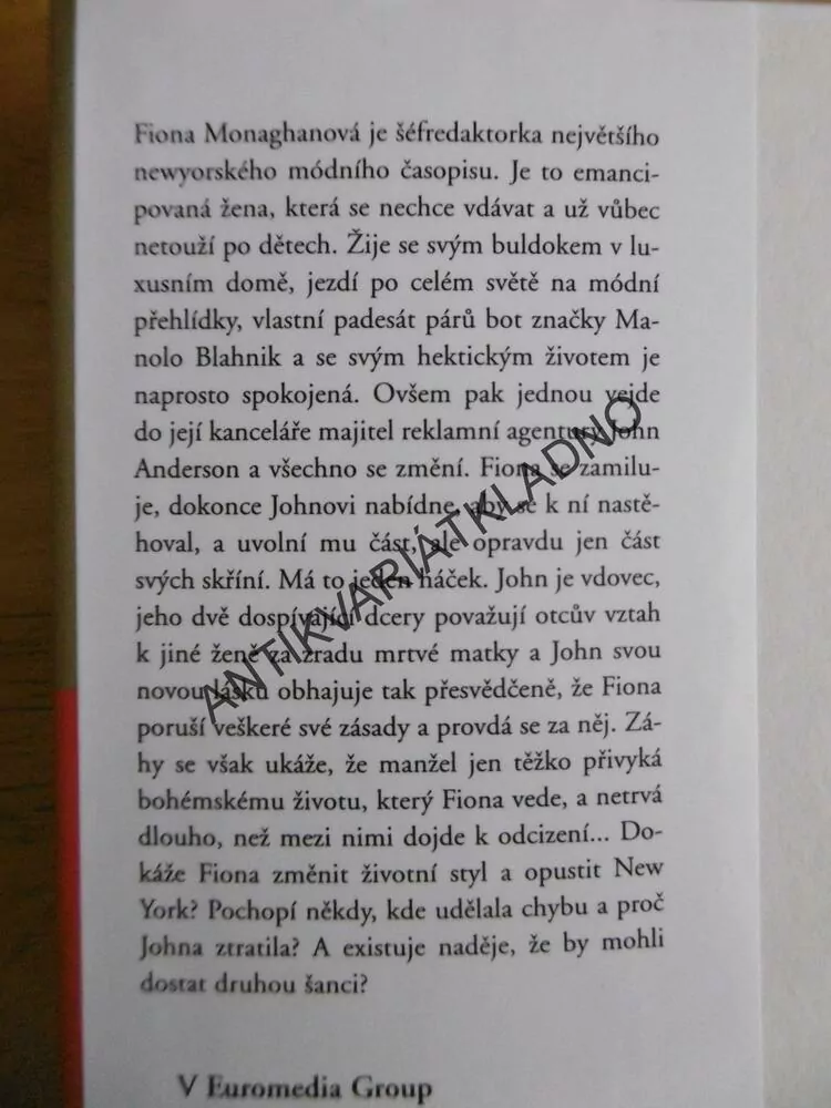 DRUHÁ ŠANCE, DANIELLE STEEL, **an