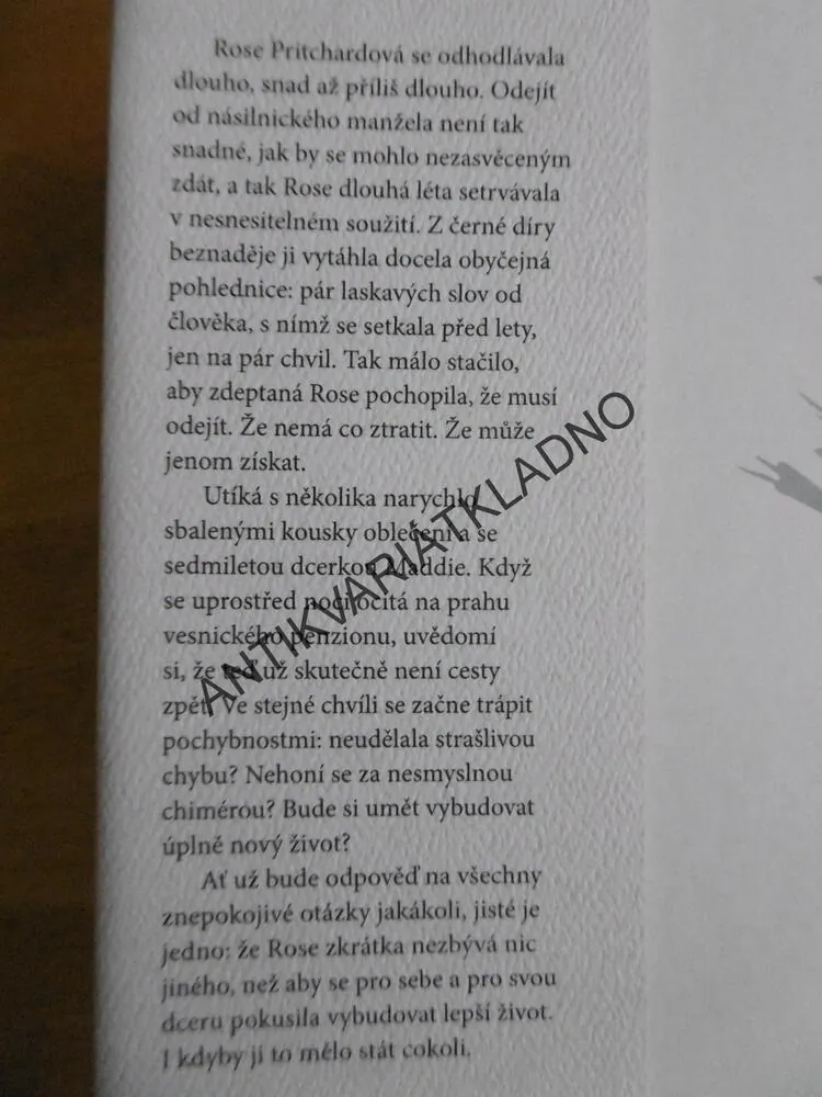 NENÍ CO ZTRATIT, ROWAN COLEMAN, **an