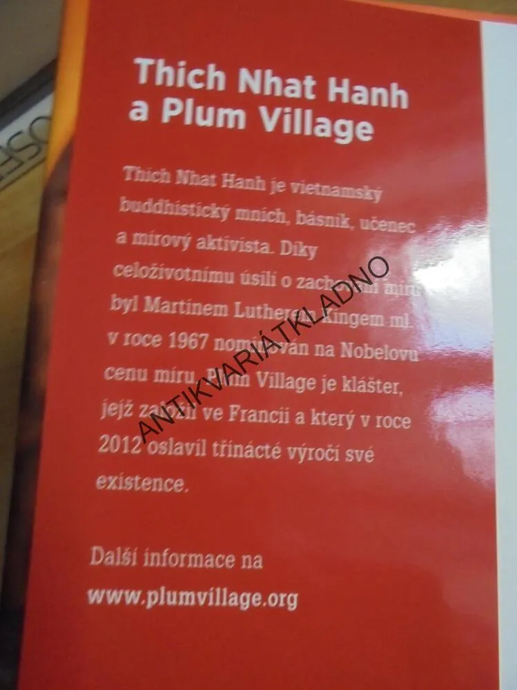 MNIŠI A JÁ, 40 DNÍ V KLÁŠTEŘE,FRANCIE, PATERSONOVÁ