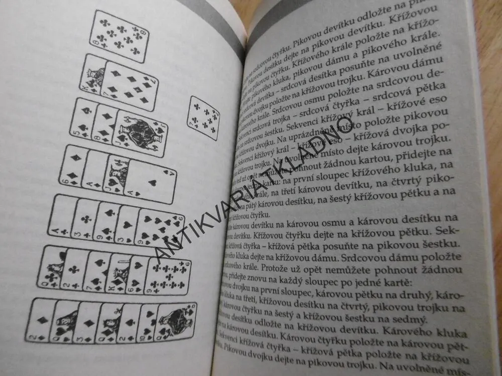 KARTY, HÁDÁNÍ BUDOUCNOSTI, KOUZLA, PASIÁNS, DEAN BRYDEN