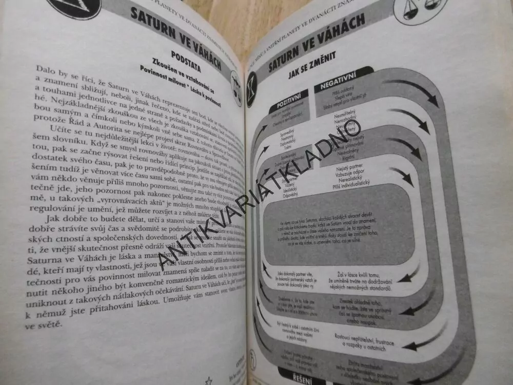 ASTROLOGIE , PRAKTICKÁ PŘÍRUČKA, LYN BIRKBECK, HOROSKOP, BUDOUCNOST,