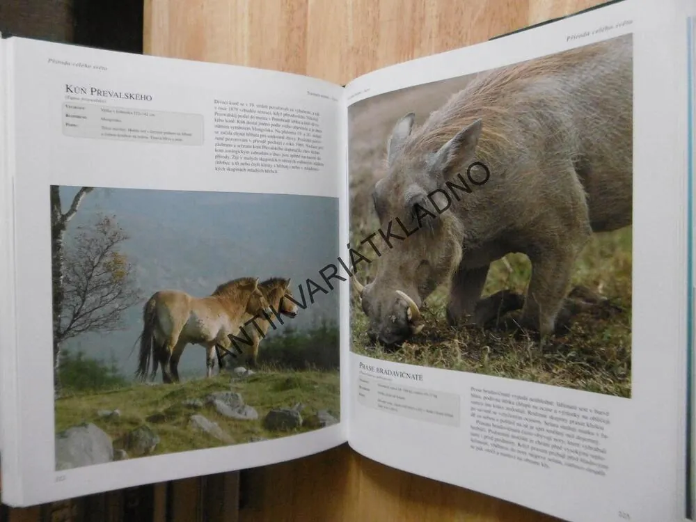 PŘÍRODA CELÉHO SVĚTA, MIKE A PEGGY BRIGGSOVI