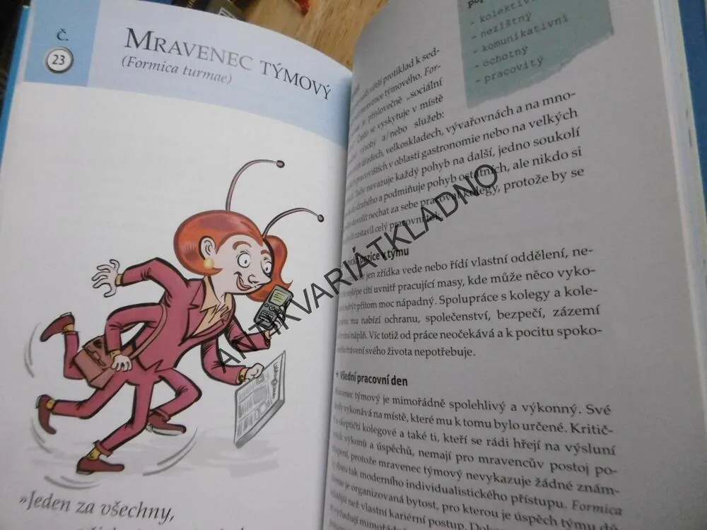 VÍTEJTE V KOLEGINCI, MARKUS STEINHAUS, **an