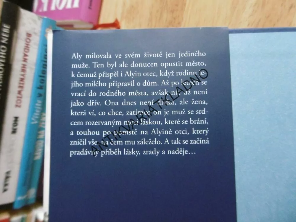 ALYIN DŮM, LEILA MEACHANOVÁ, **an