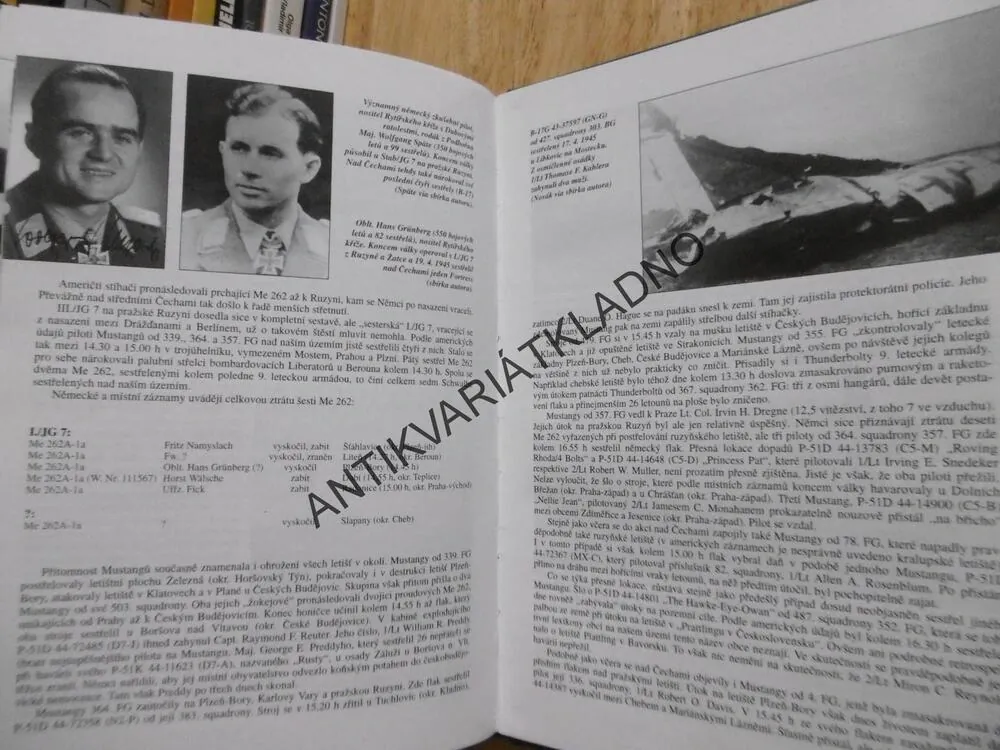 MUSTANGY NAD PROTEKTORÁTEM, JIŘÍ RAJLICH