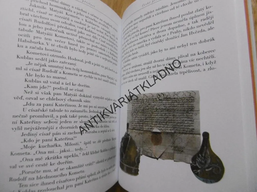 POSLEDNÍHO KOUSNE PES, HANA DOSKOČILOVÁ, JIŘÍ BĚHOUNEK, **an