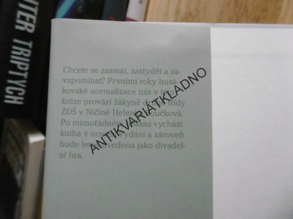 HRDÝ BUDŽES, IRENA DOUSKOVÁ, **an