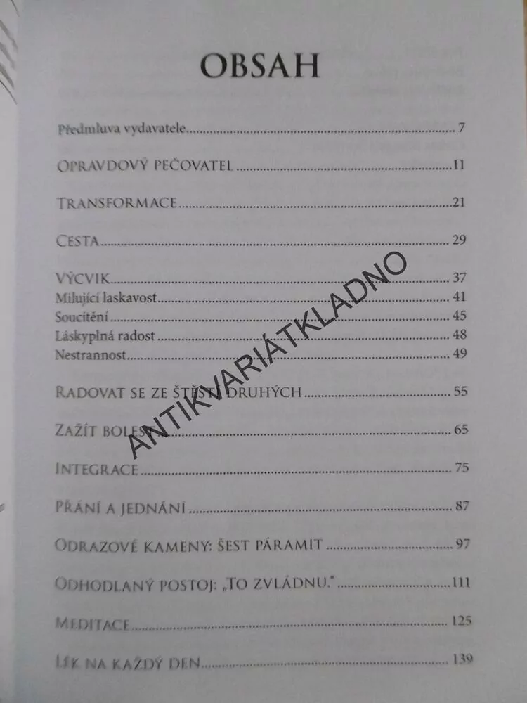CESTA SOUCITNÉHO BOJOVNÍKA, JAK NALÉZT ŠTĚSTÍ, D.K. RINPOČHE
