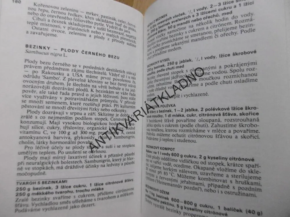 Z LESA I ZE ZAHRADY OD JARA DO ZIMY, DAGMAR LÁNSKÁ, **an