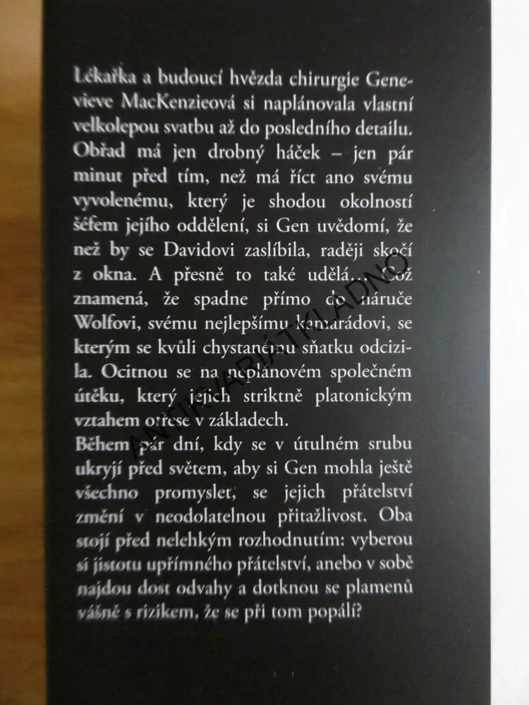 HLEDÁNÍ PODMANIVÉ KRÁSY, JENNIFER PROBSTOVÁ,