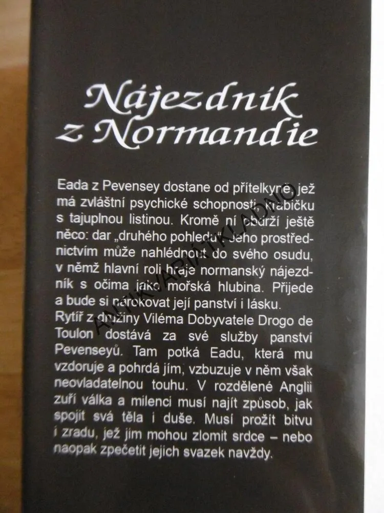 NÁJEZDNÍK Z NORMANDIE, HANNAH HOWELL